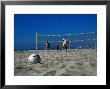 Beach Volleyball Game by Christina Lease Limited Edition Print
