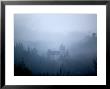 Bran Castle, Dracula's Castle, In Fog, Transylvania by Gavin Quirke Limited Edition Print