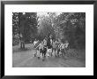 Former First Lady Eleanor Roosevelt Walking On Rustic Road With Children, En Route To Picnic by Martha Holmes Limited Edition Print