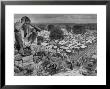 Boy Sitting On Rock Ledge Above Refugee Camp by Margaret Bourke-White Limited Edition Pricing Art Print