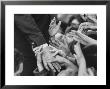 Senator Robert F. Kennedy Shaking Hands With Admirers During Campaigning by Bill Eppridge Limited Edition Print