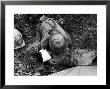 American Soldier Comforting Wounded Comrade During Fight To Take Saiapn From Japanese Troops by W. Eugene Smith Limited Edition Print