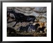 20,000 Year Old Lascaux Cave Painting Done By Cro-Magnon Man In The Dordogne Region, France by Ralph Morse Limited Edition Print
