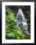 Fairy Falls Tumbling Down Basalt Rocks, Columbia River Gorge National Scenic Area, Oregon, Usa by Steve Terrill Limited Edition Pricing Art Print