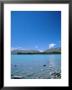 Lake Tekapo, Mount Cook National Park, Canterbury, South Island, New Zealand by Neale Clarke Limited Edition Print
