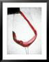 A Glass Of Red Wine by Steven Morris Limited Edition Print