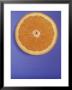 Slice Of Orange by Gerrit Buntrock Limited Edition Pricing Art Print