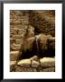 Incan Ruins, Machu Picchu, Peru by Alison Jones Limited Edition Print