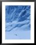 Three People Skiing Up The Kahiltna Glacier On Denali, Alaska by Bill Hatcher Limited Edition Print