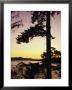 Evergreen Trees Are Silhouetted Against Water At Twilight by Raymond Gehman Limited Edition Print