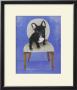 French Bull Dog by Carol Dillon Limited Edition Print