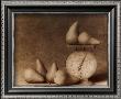 Pears With Scale by Van De Zande Limited Edition Print