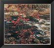 The Red Maple by A. Y. Jackson Limited Edition Print