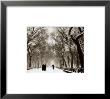 Central Park by Richard Calvo Limited Edition Print