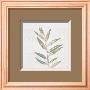 Leaf Synthesis Ii by Emily Pearce Limited Edition Print
