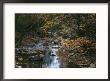 Autumnal View Of This Picturesque River by Bates Littlehales Limited Edition Print