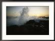 Sunlight Shines Through A Crashing Wave At Yachats State Park by Phil Schermeister Limited Edition Print