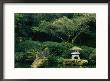 A Japanese Garden With Japanese Maple Trees by Darlyne A. Murawski Limited Edition Print
