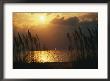 A Windsurfer Skims The Silver Surface Of Pamlico Sound At Twilight by Stephen St. John Limited Edition Print