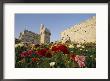 A View Of Flowers Growing Outside A Castle by Richard Nowitz Limited Edition Print