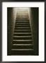 Cellar Steps by Scott Sroka Limited Edition Print