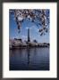 The Washington Monument Is Reflected In The Tidal Basin by Stephen St. John Limited Edition Pricing Art Print