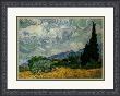 Oat Field With Cypress by Vincent Van Gogh Limited Edition Print