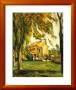 Chestnut Trees & Farm-Jas De Bouffan by Paul Cezanne Limited Edition Print