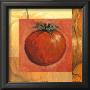 Tomato by Jennifer Hammond Limited Edition Pricing Art Print