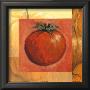 Tomato by Jennifer Hammond Limited Edition Print