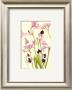 Crinum Nerine & Autumn Flowers by Elizabeth Blackadder Limited Edition Pricing Art Print