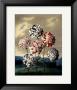 A Group Of Carnations by Dr. Robert J. Thornton Limited Edition Print