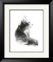 Cat's Head by Aurore De La Morinerie Limited Edition Pricing Art Print