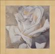 White Passion I by Rumi Limited Edition Print