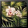 Tropical Bouquet Iii by Cheryl Kessler-Romano Limited Edition Print