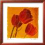 Red & Gold I by Amy Melious Limited Edition Print
