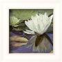 Lotus Jewel Ii - Mini by Jan Sacca Limited Edition Print