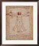 Vinci Drawing Of Man by Leonardo Da Vinci Limited Edition Print