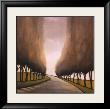 Forest Road I by Taman Van Scoy Limited Edition Pricing Art Print