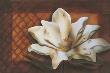 Magnolia I by Noah Limited Edition Pricing Art Print