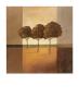 Trees I by Hans Paus Limited Edition Pricing Art Print