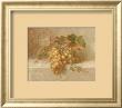 Champagne Grapes by Danhui Nai Limited Edition Pricing Art Print
