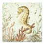 Atlantic Seahorse by Kate Mcrostie Limited Edition Print