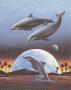 Rising Dolphins by Alan Metz Limited Edition Print