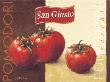 Pomodori San Giusto by Bjorn Baar Limited Edition Pricing Art Print