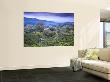 Colombia, Caldas, Manizales, Chinchina, Coffee Plantation At Hacienda De Guayabal At Dawn by Jane Sweeney Limited Edition Print