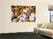 Bread Shop Window, Bergamo, Lombardy, Italy by Peter Adams Limited Edition Print