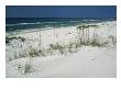 Dune Grasses Hold White Sand In Place Along A Stretch Of Beach by Raymond Gehman Limited Edition Print