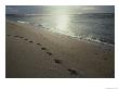 Footprints In The Sand On A Beach by Todd Gipstein Limited Edition Print