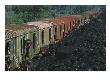Moving Mountains Of Coal By Hand, Laborers Load Boxcars In Ledo by Maria Stenzel Limited Edition Print